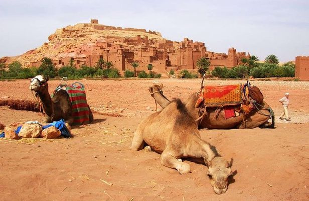 2 Day Excursions Marrakech Merzouga Erg Chebbi Camel Trek 2 Days 1 Nights Luxury