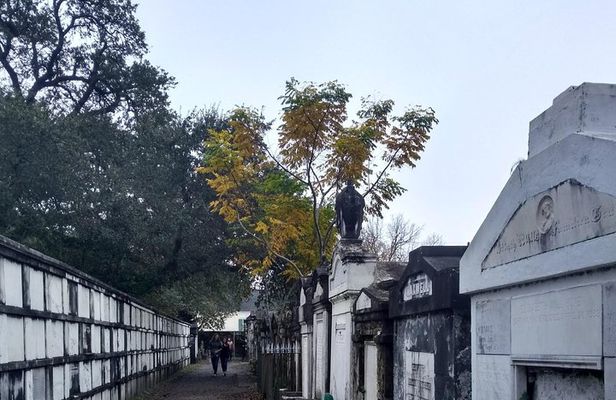 A Local's Garden District Tour