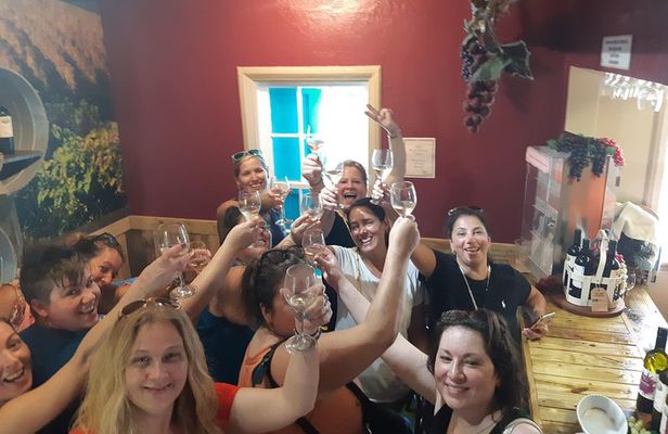 Rum Reggae and Rhythms Tour: Dancing and Cocktails