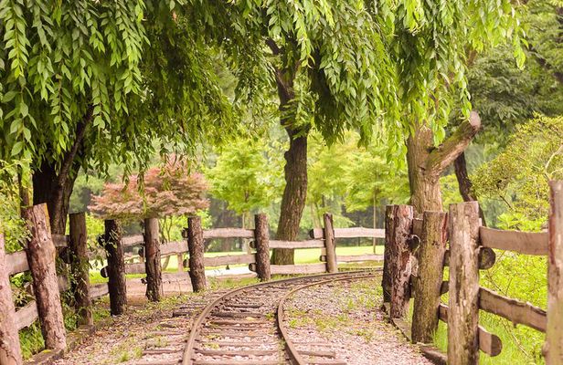 [ Full Day ] Nami Island, Petite France and Hot place Myeongdong!