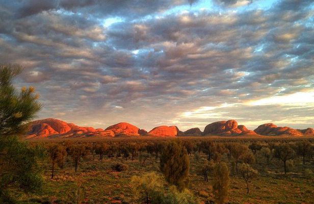Kata Tjuta Small-Group Tour Including Sunrise and Breakfast