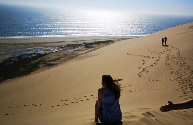 Sandwhich Harbour Dune 4x4 Full Day