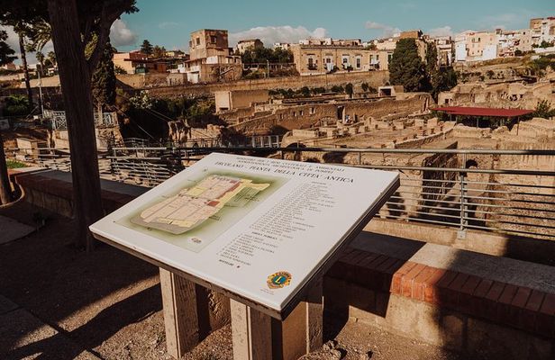 Pompeii and Herculaneum Small Group Excursion from Naples