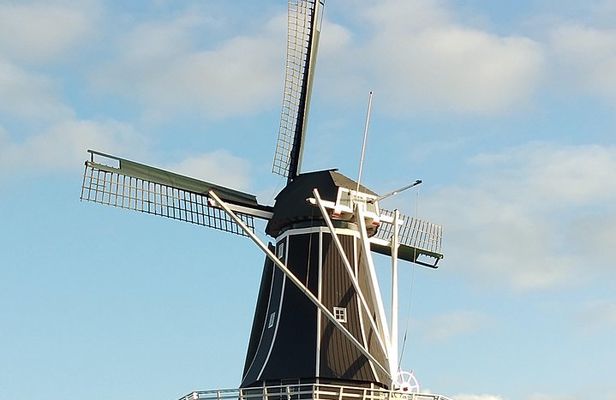 Haarlem Walking Tour. Unknown and Surprising