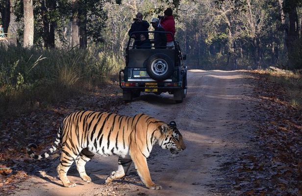 5 Days Golden Triangle Tour with Ranthambore