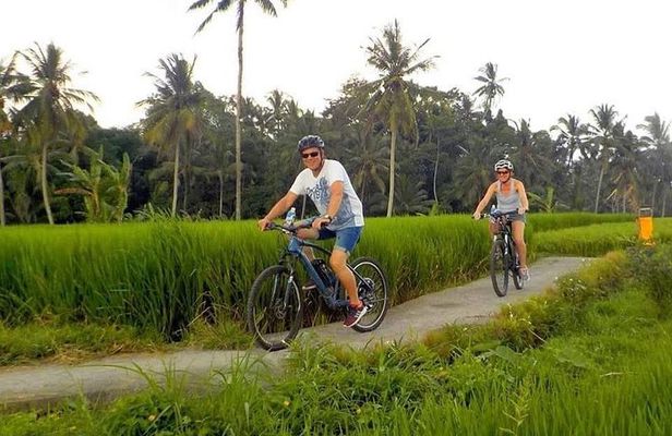 Ubud Bali Cycling Tour