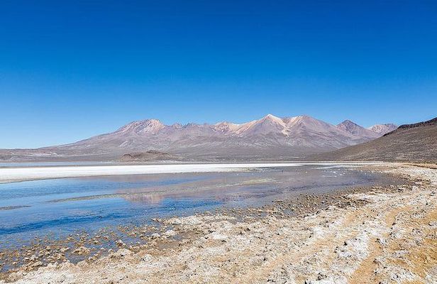 Day Tour to Laguna de Salinas