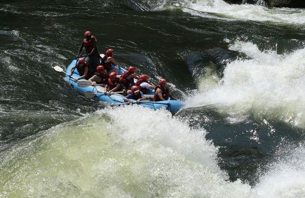 Air-cooled camp and rafting in Rishikesh (2n3d)