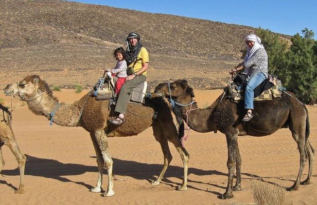 Camel ride