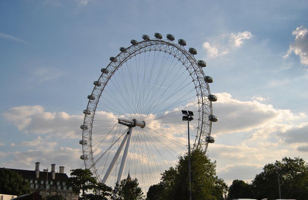 Westminster area private guided tour