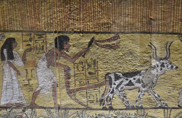 Luxor Dendera tour with a felucca from Hurghada by a private car