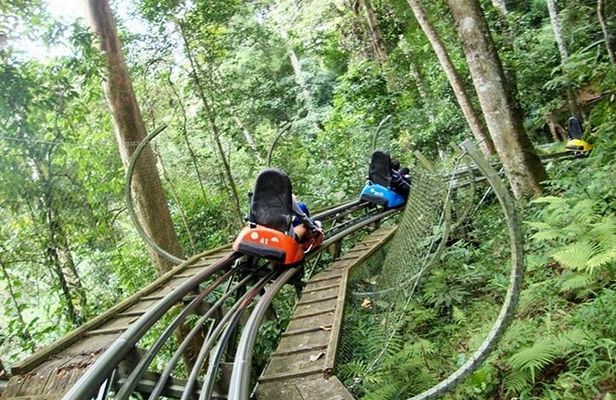 Private tour Nha Trang - Dalat excursion (starting at Nha Trang)
