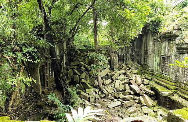 1 day special Tour: Angkor Wat,Bayon,Ta Prohm, Bantey srei and Beng Mealea