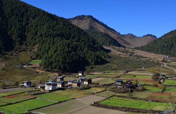 Bhutan Walking Holidays - Beyond the Clouds