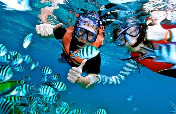 Snorkeling Experience At Blue Lagoon Bali With Lunch And Transfers