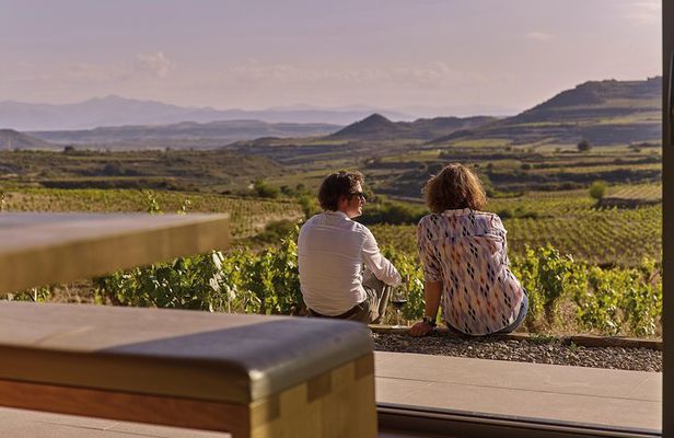 La Rioja wine tour: wineries and Laguardia from Logroño