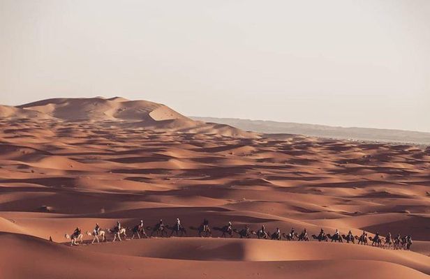 Luxury 3 Days Desert Tour Morocco