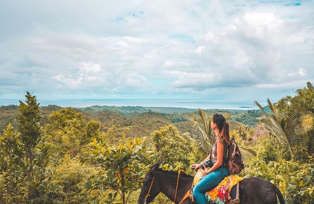 Samana: Cayo levantado ( Bacardi Island) & El Limon Waterfalls from Punta Cana