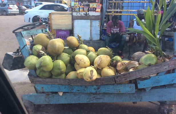 Negril Country Side Tour & Rick's Cafe