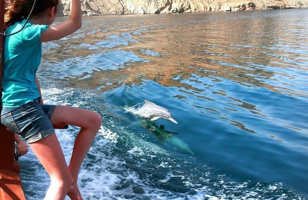 Musandam Khasab Day Trip & Dhow Cruise from Ras al Khaimah