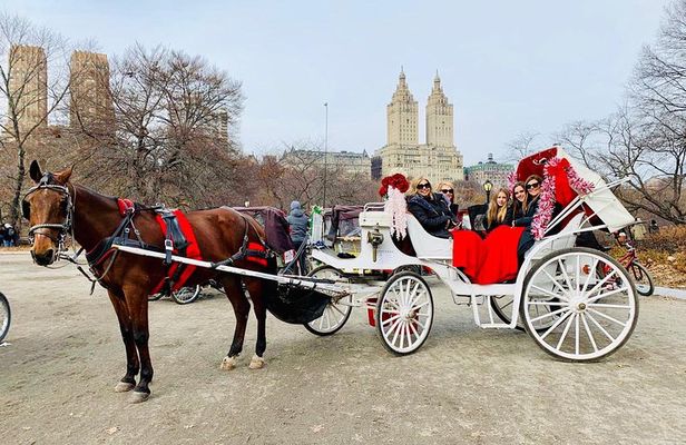 45 Minute VIP Central Park Carriage Ride