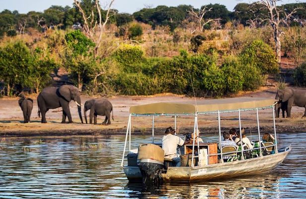 Chobe Day Trip