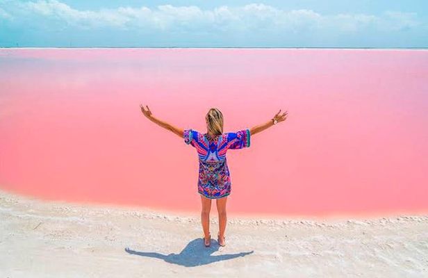 Tour Las Coloradas! Amazing Pink Lake Round Transportation from Tulum