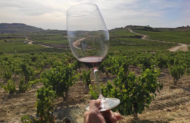Rioja Wine Tour: Winery & Traditional Lunch From Pamplona