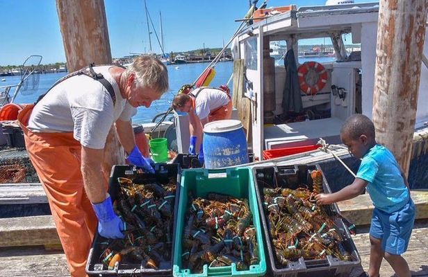 Boston to Kennebunkport with Optional Lobster Tour