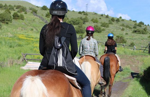 Blue Flower Trail Ride