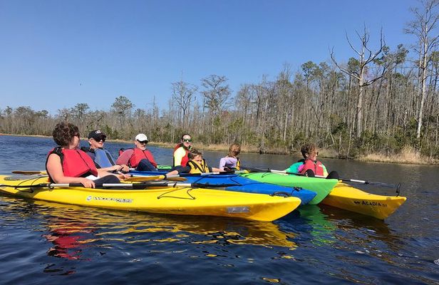 Kitty Hawk Maritime Forest Kayak Tour