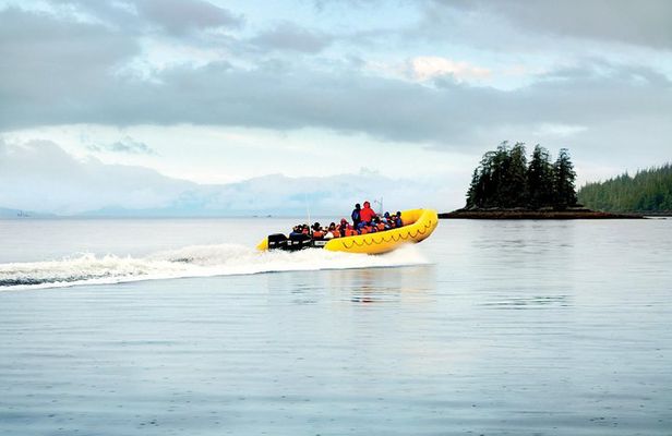 Ketchikan Rainforest Island and Boat Adventure