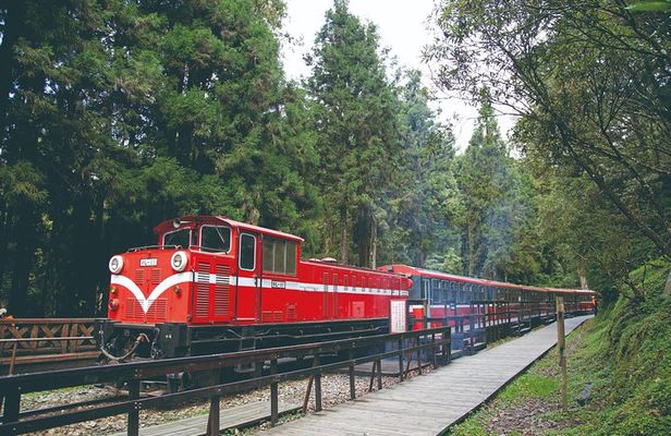 Private 3-Day Tour to Sun Moon Lake and Alishan