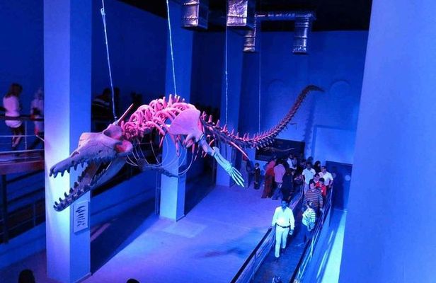 Hurghada Grand Aquarium Entry Ticket and Tour
