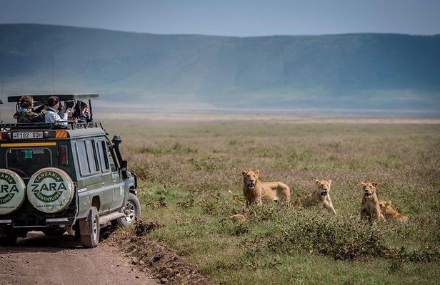 Elephant Special Serengeti & Ngorongoro Crater 5 Days / 4 Nights 