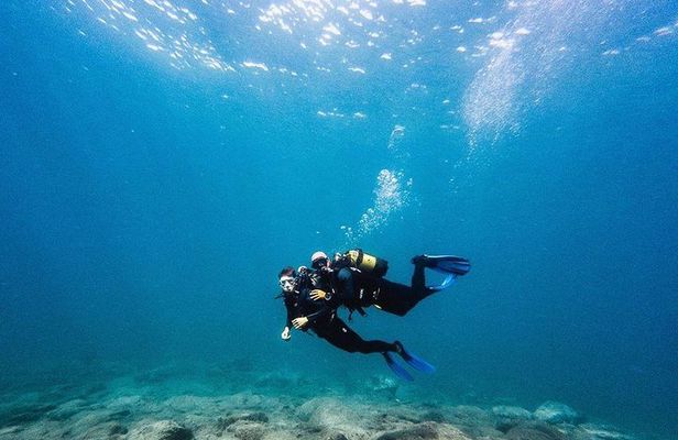 Try Dive in Tenerife