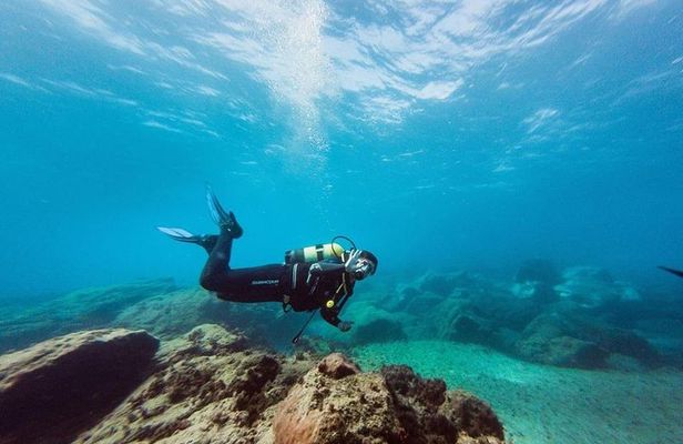 Immersion Certified Diver