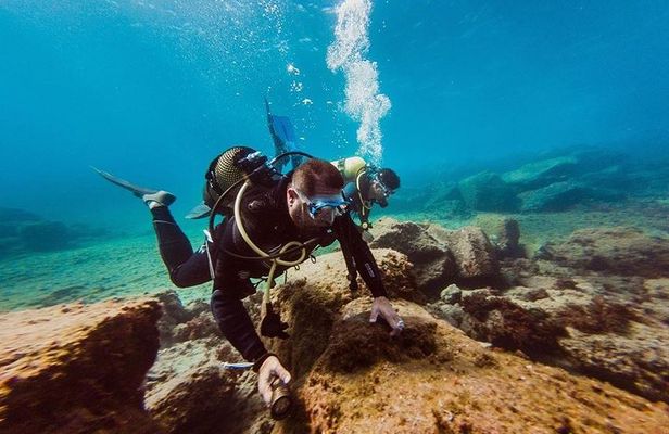 Eco Adapted Diving in Tenerife
