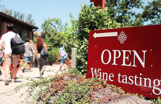 Chianti Wine Tour: Two Wine Tastings, Vineyards and Cellar Visit
