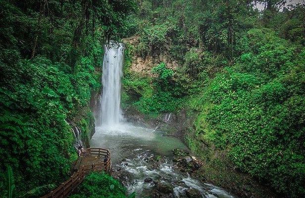Hacienda Café Doka, Volcán Poas & Jardines de La Catarata La Paz 