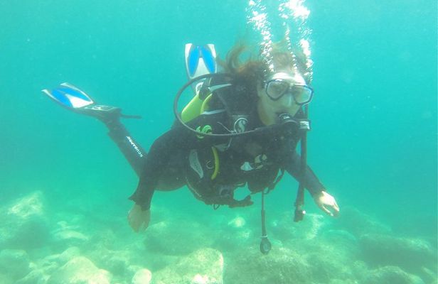 Introdive