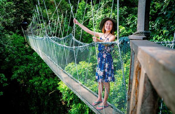 Kinabalu Park & Poring Hot Spring & Canopy Walk