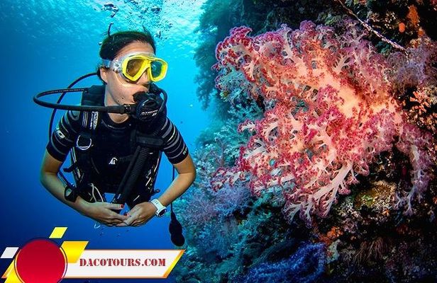 Private Cham Island Snorkeling Tour, Nice Beach, Fishing villages