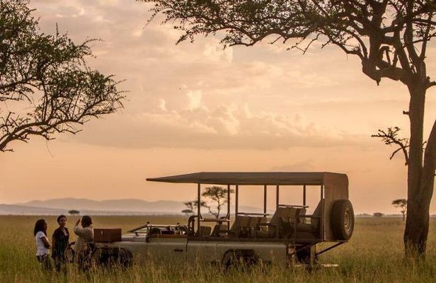 5 Days 4 Nights Exclusive Luxury Tanzania Safari