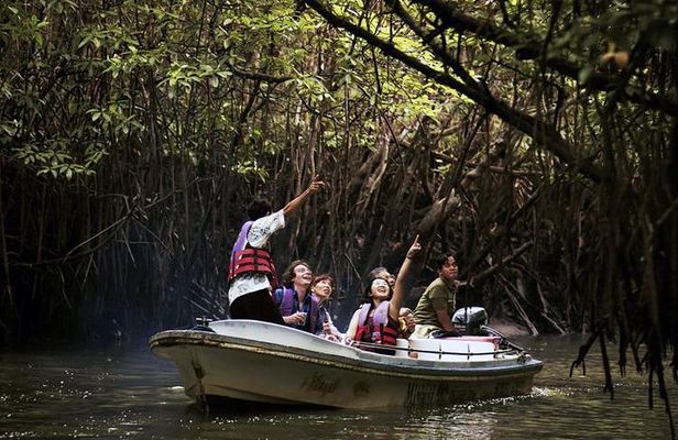 Hikkaduwa Day Tour With Madu River Safari & Galle Fort