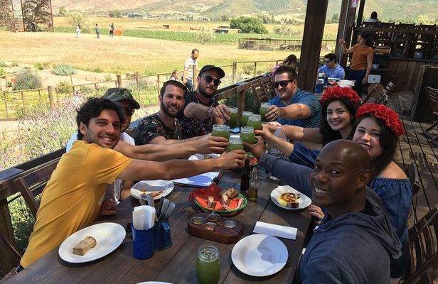 Luxury Private Wine Tasting Tour to Guadalupe Valley from San Diego