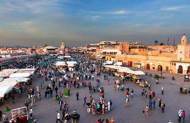Marrakech Highlights: Guided Day Tour from Agadir