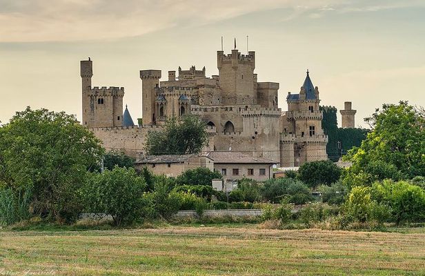 Royal Palace of Olite and Ujue from Pamplona