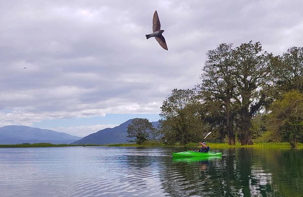 From San Pedro Sula: Yojoa Lake Area Day Trip