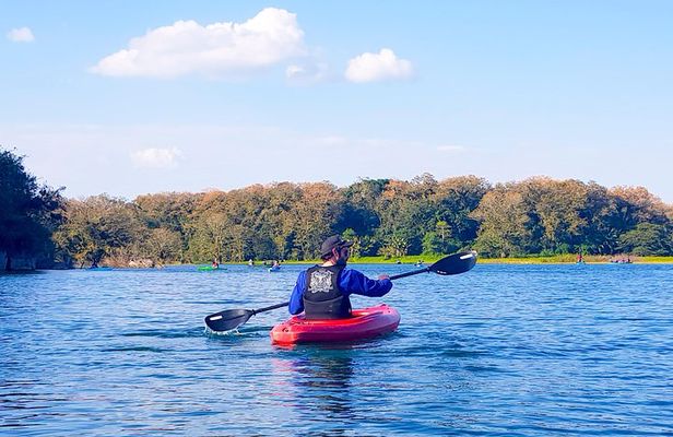 From San Pedro Sula: Private Yojoa Lake Area Day Trip